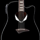 V Wing Dove