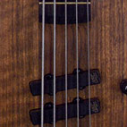 Thumb 5-String Bass