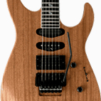 Dellinger SE