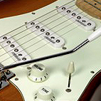 ERA Professional Standard